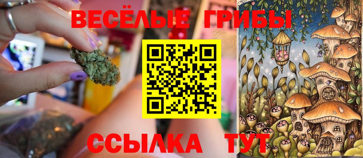Псилоцибиновые грибы Cubensis Арзамас